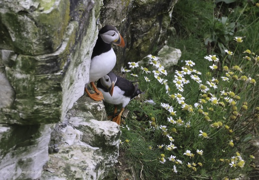 Flamborough